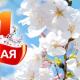 «Семья. Мир. Май!» - приглашаем всех отметить Первомай! «Семья. Мир. Май!» - приглашаем всех отметить Первомай!
